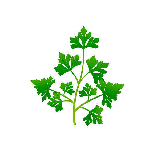 Parsley